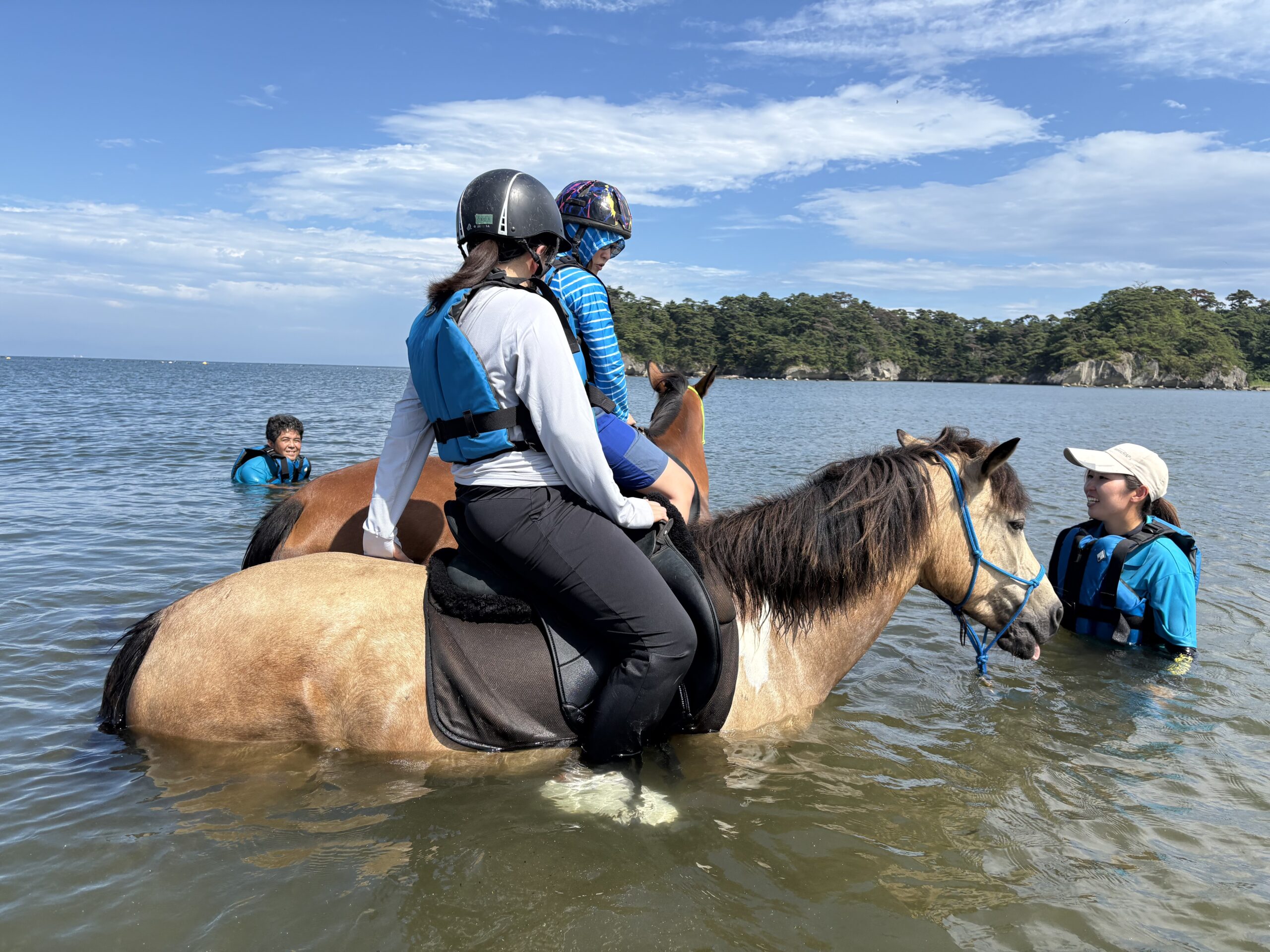 horses-1-scaled.jpg